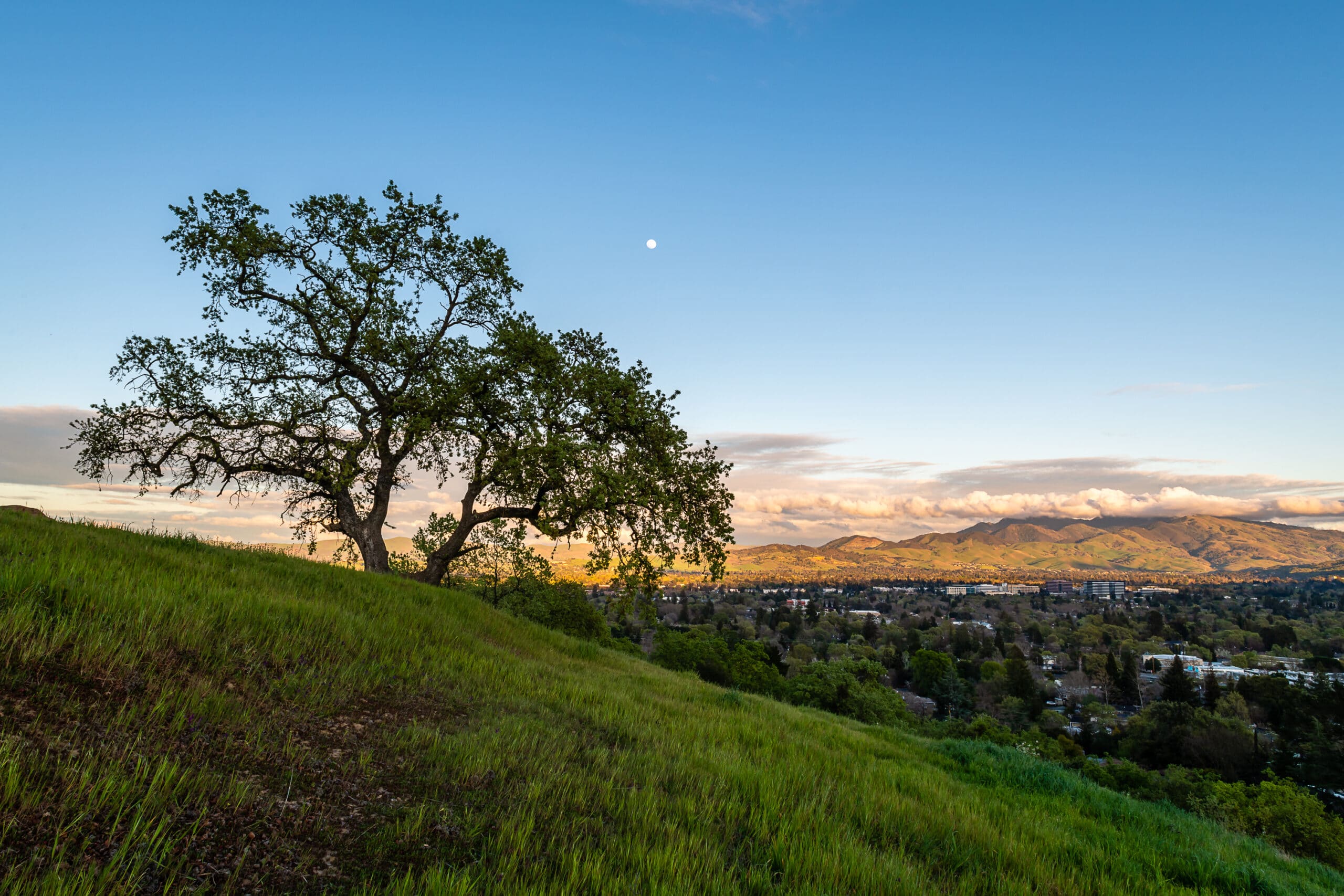view of walnut creek from the hills